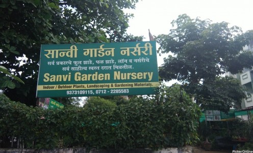 SANVI GGARDEN NURSERY