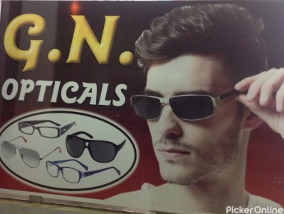 G. N. Opticals