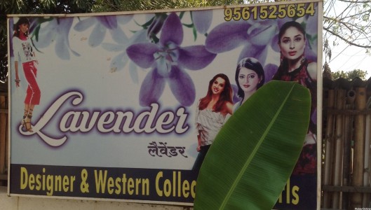 Lavender Designer & Western Collection