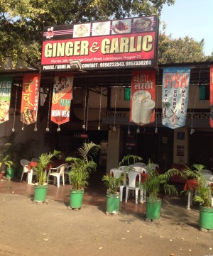 Ginger & Garlic