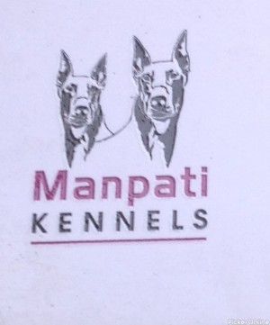 Manpati Kennels Pet Hospital