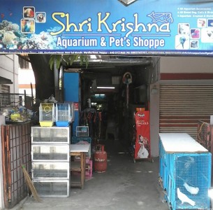 Shri Krishna Aquarium & Pet's Shoppe