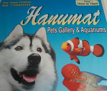 Hanumant Pets Gallery & Aquarium