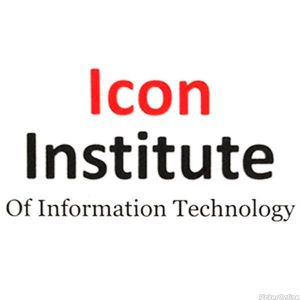 Icon Institute of Information Technology