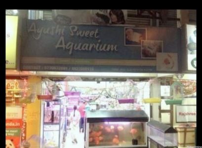 Ayushi sweet Aquarium