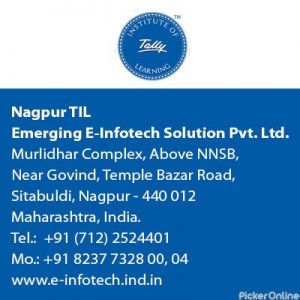 Emerging E-Infotech Solutions Pvt. Ltd.