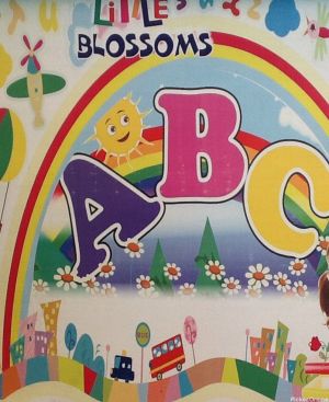 Little Blossoms & Play School