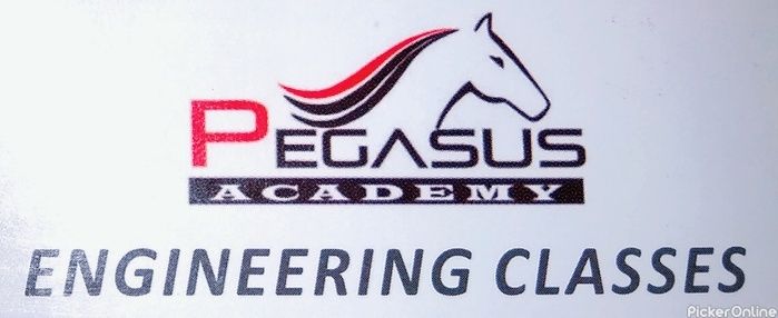 Pegasus Academy