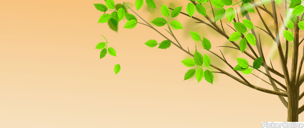 Swati Laminates & plywood