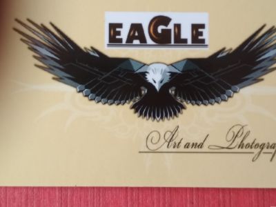 Eagle Art and Advertisement