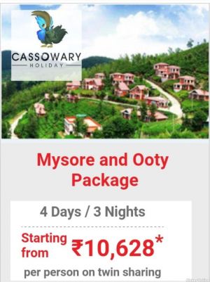 Cassowary holiday