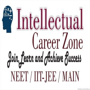 Intellectual Coaching Classes