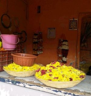 Jay Bhole Flowers