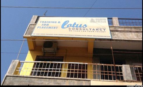 Lotus Consultancy