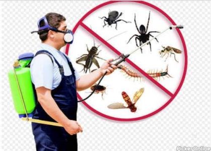 Damodar Maintenance Services And Pest Control