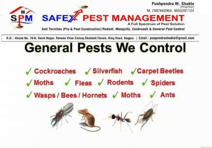 Safex Pest Management