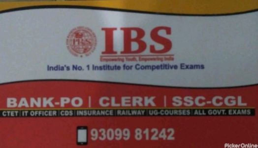 IBS Institute