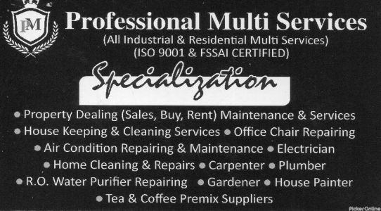 Professional Multi Services