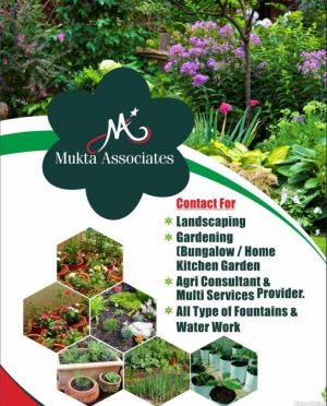 Mukta Associates