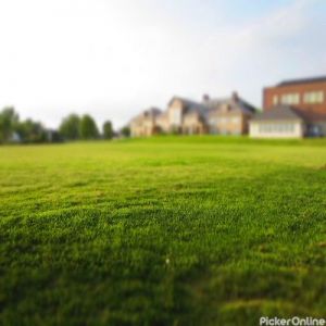 Rose Lawn