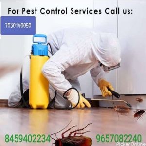 Dev Pest Control Services