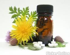 Tara Homeopathy Clinic