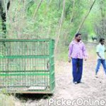 Chief Conservator of Forests & Field Director Pench Tiger Project