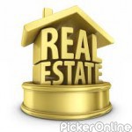 PNS Real Estate