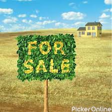 Blue Star Real Estate