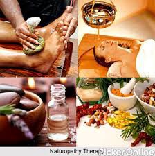 Institute Of Naturopathy Science