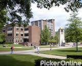Department of Pharmaceutical Sciences