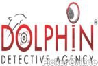 Dolphin Detective Agency