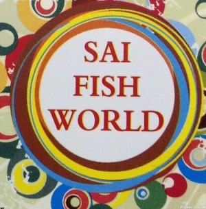 Sai Fish World