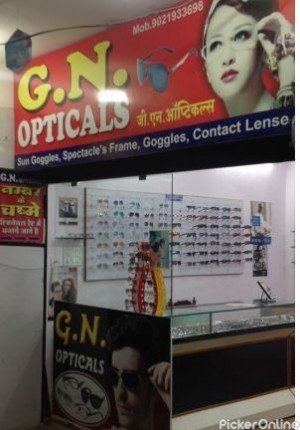 G. N. Opticals