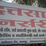 Dattasai Nursery