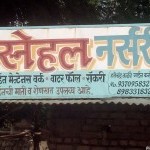 Snehal Nursery And Garden Contractor