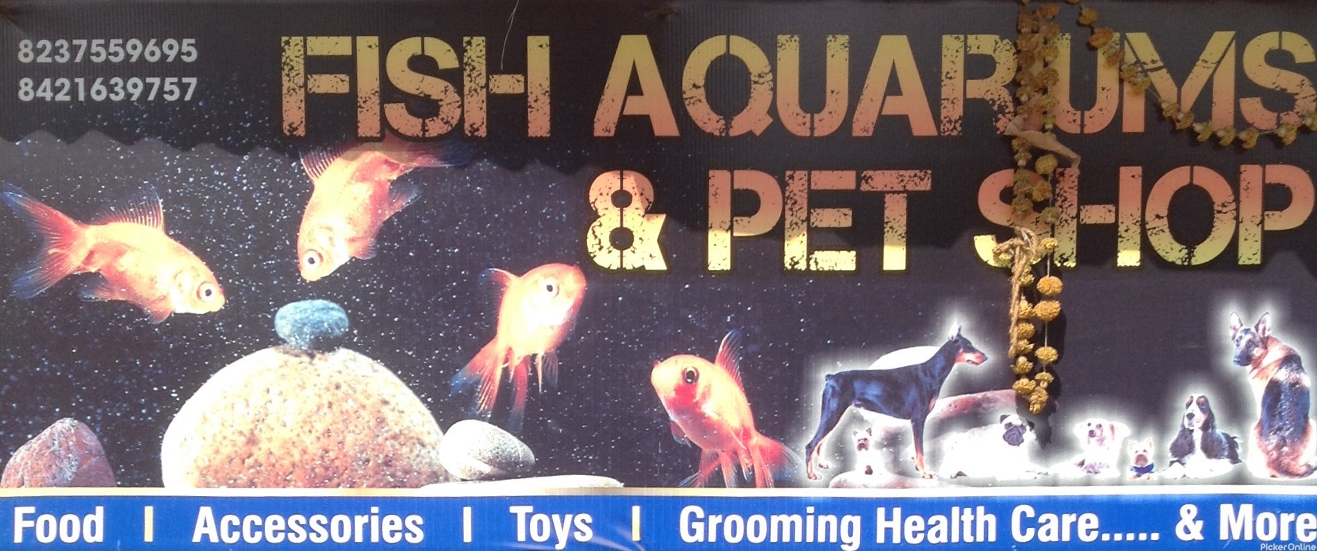 Fish Aquariums & Pet shop