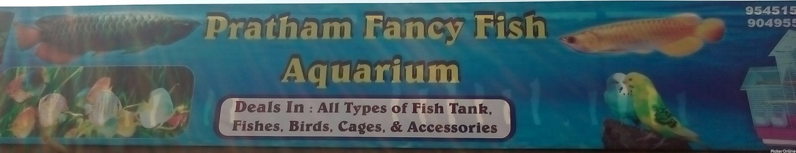 Pratham Fancy Fish Aquarium