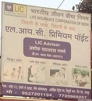 Ashok Yadavrav Gabhne Lic Advisor