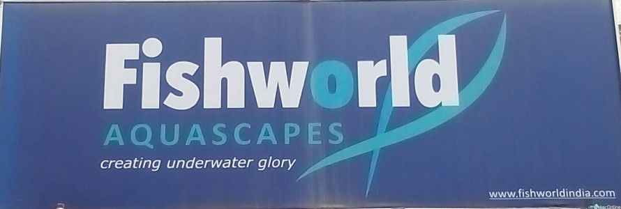 Fishworld Aquascapes