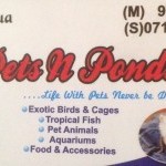 Pets & Ponds