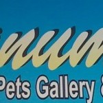 Hanumant Pets Gallery & Aquarium