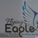 Flying Eagle Pvt. Ltd.