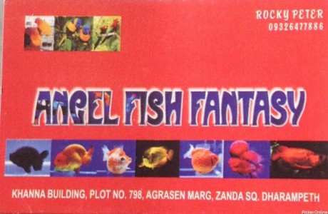 Angel Fish Fantasy