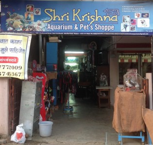 Shri Krishna Aquarium and Pets Shopee