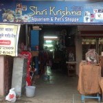 Shri Krishna Aquarium and Pets Shopee