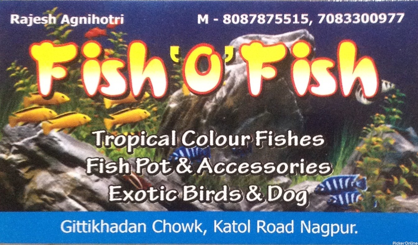 Fish 'O' Fish Katolroad, Nagpur