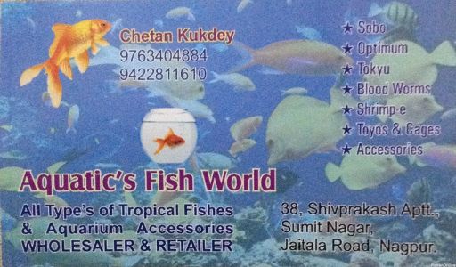 Aquatic's Fish World