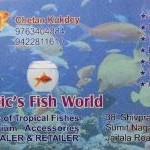 Aquatic's Fish World