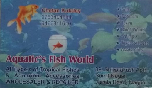 Aquatic Fish World